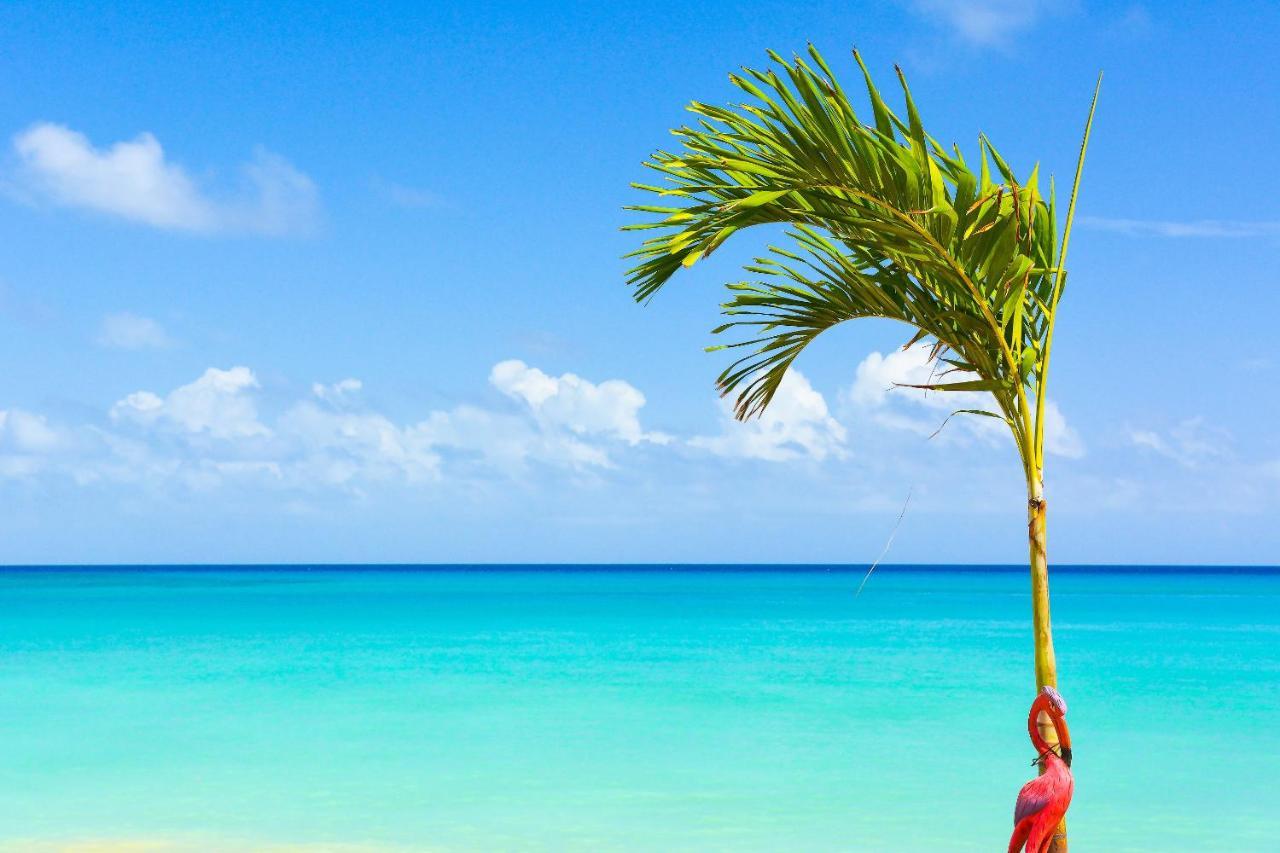 Kaz Kreol Beach Hotel Ocho Rios Eksteriør billede